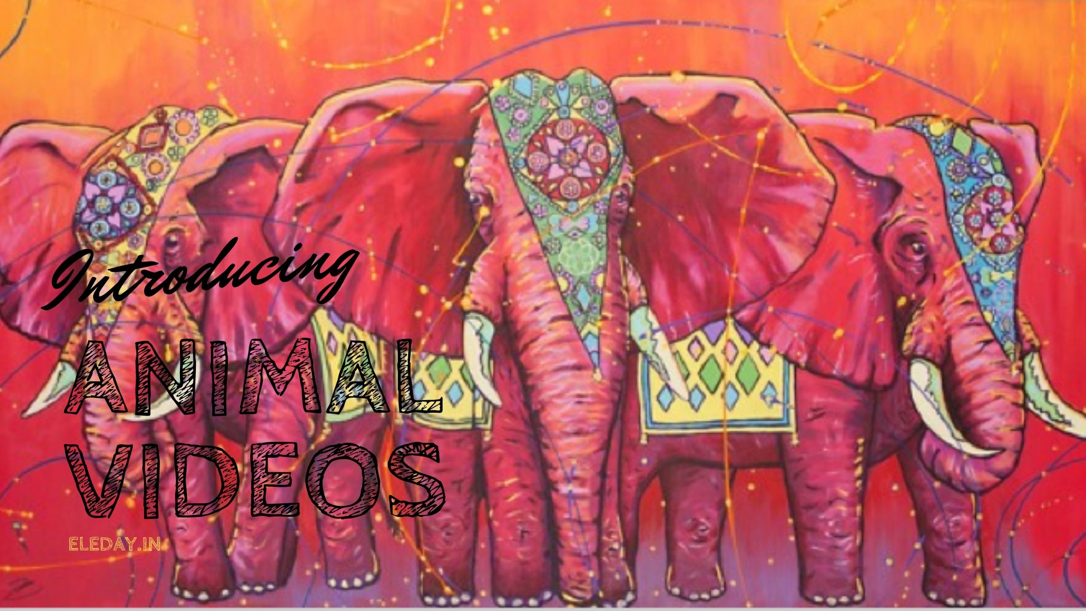 You are currently viewing Elephants Sanctuaries in India