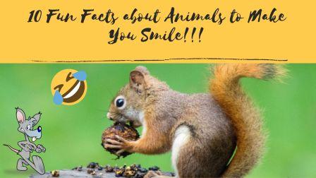 Read more about the article Top 10 Fun Facts about Animals to Make You Smile