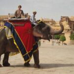 Read more about the article Elephant Ride in Jaipur