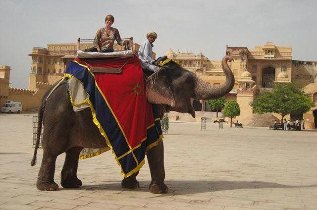 You are currently viewing Elephant Ride in Jaipur