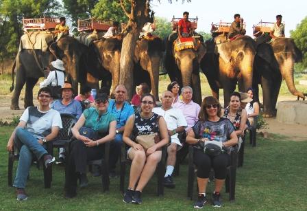Group of elephant lover in jaipur